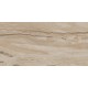 Купить в СПб CP02 30x60 Неполированный