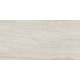 Купить в СПб CP11 30x60 Неполированный