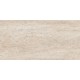 Купить в СПб JZ01 30x60 Неполированный