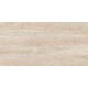 Купить в СПб JZ01 30x60 Неполированный