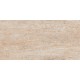 Купить в СПб JZ02 30x60 Неполированный