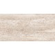 Купить в СПб JZ04 30x60 Неполированный