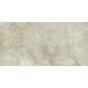 Купить в СПб Керамогранит Petra-limestone 1200х600х10 ракушечник серо-зеленоватый - GRS02-27