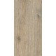 Купить в СПб DW02 30,6x60,9x8 Неполированный