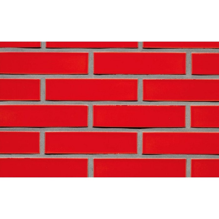 Кирпич облицовочный Terca Crystal Rood SP, 210*100*50 мм