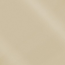 Моноколор (Monocolor) Аворио КГ полированный PR 60х60, Керамика Будущего
