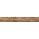 Купить в СПб BG01 19,4x120x10 Неполированный