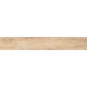 Купить в СПб BG02 19,4x120x10 Неполированный