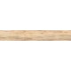 Купить в СПб BG02 19,4x120x10 Неполированный