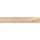 Купить в СПб BG02 19,4x120x10 Неполированный