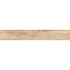 Купить в СПб BG02 19,4x120x10 Неполированный