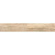Купить в СПб BG02 19,4x120x10 Неполированный