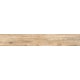 Купить в СПб BG02 19,4x120x10 Неполированный