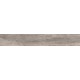 Купить в СПб BG03 19,4x120x10 Неполированный