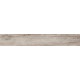 Купить в СПб BG03 19,4x120x10 Неполированный