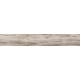Купить в СПб BG03 19,4x120x10 Неполированный