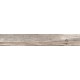 Купить в СПб BG03 19,4x120x10 Неполированный