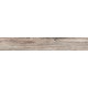 Купить в СПб BG03 19,4x120x10 Неполированный