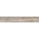 Купить в СПб BG03 19,4x120x10 Неполированный