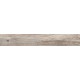 Купить в СПб BG03 19,4x120x10 Неполированный