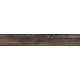 Купить в СПб BG06 19,4x120x10 Неполированный