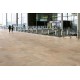 Купить в СПб Керамогранит окрашенный Atlas Concorde Landstone Walnut LASTRA 20 мм 60х60