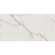 Купить в СПб ID01 60x120x10 Полированный