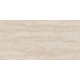 Купить в СПб JZ01 60x120x10 Неполированный