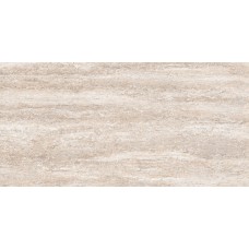 JZ04 60x120x10 Неполированный