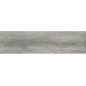 Купить в СПб DW05 14,6x60x8 Неполированный
