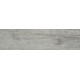Купить в СПб DW05 14,6x60x8 Неполированный