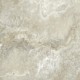 Купить в СПб Керамогранит Petra-limestone 600х600х10 ракушечник серо-зеленоватый - GRS02-27