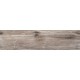 Купить в СПб BG03 14,6x60x8 Неполированный