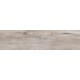 Купить в СПб BG03 14,6x60x8 Неполированный
