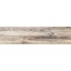 Купить в СПб BG00 14,6x60x8 Неполированный