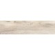 Купить в СПб BG00 14,6x60x8 Неполированный