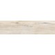 Купить в СПб BG00 14,6x60x8 Неполированный