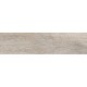 Купить в СПб BG00 14,6x60x8 Неполированный