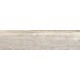 Купить в СПб BG00 14,6x60x8 Неполированный