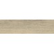 Купить в СПб DW02 14,6x60x8 Неполированный