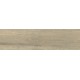 Купить в СПб DW02 14,6x60x8 Неполированный