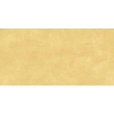 SR04 60x120х10 Неполированный