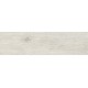Купить в СПб DW01 14,6x60x8 Неполированный