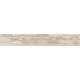 Купить в СПб SP01 19,4x120x10 Неполированный