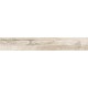 Купить в СПб SP01 19,4x120x10 Неполированный