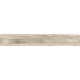 Купить в СПб SP01 19,4x120x10 Неполированный