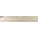 Купить в СПб SP01 19,4x120x10 Неполированный