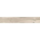 Купить в СПб SP01 19,4x120x10 Неполированный