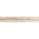 Купить в СПб SP01 19,4x120x10 Неполированный