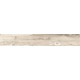 Купить в СПб SP01 19,4x120x10 Неполированный
